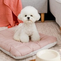 아망떼펫 털안붙는 알러지케어 애견방석 M L, L모카