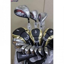 아시안 스팩 남성용 골프채 풀세트 미사용 그대로 캐디백 보스톤백 포함 판매합니다.., 샤프트선택 : 스틸SR