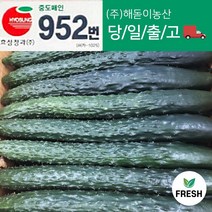<해돋이농산> 국내산 가시오이 청오이 특품 10개 20개