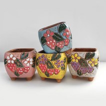 사각 딸기꽃 다육화분 4종세트, 둥근사각