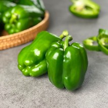 국내산 청피망 10kg 5kg 3kg 2kg 1kg내외, 1box, 청피망 2kg내외