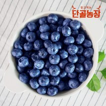 2023년 고창 블루베리 생과 로얄특상 4kg 250g 16팩