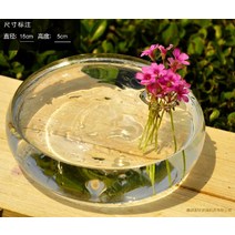 O.RoseLif 투명 편형 꽃병 웨딩 장식 라운드 공기 식물 테라리움 수동 블로우성형장식 유리 꽃병