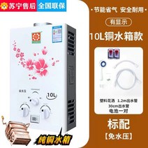 가정용 가스온수기 중형 소형 순간식 용량 LPG 10리터, 액화 석유 가스, 가스온수기-10L