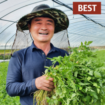 청도 한재 미나리 친환경 무농약 당일수확 1kg, 청도 한재미나리 1kg, 1개