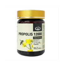 네이쳐스탑 호주산 100% 프리미엄 유칼립투스 프로폴리스 12000 고함량 100캡슐, 12000mg 100캡슐, 1개