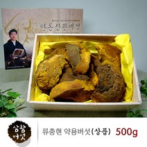 국내산 상황버섯 균사체 베타글루칸 뽕나무 목질진흙버섯 원물 덩어리 100% 상황버섯차 달인물 먹는방법 끓이는법 친환경 인증 선물 세트, 500g, 1개