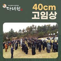 40cm 고임상 (다례원) 40cm 고임상 시제음식 당일조리 당일배송 시제상차림 기타즉석요리