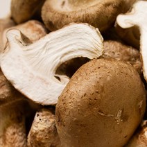문경 쫄깃쫄깃 송화고버섯 송화버섯 500g 1kg 국산 고기맛 생 송고 송화고 산지직송, 유황 송화버섯 상품 1kg