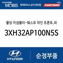 몰딩 어셈블리-웨스트 라인 프론트 좌측 (3XH32AP100N5S) 아반떼MD