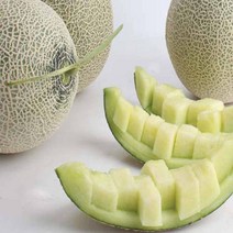 전남 나주 세지농협의 세론이 메론 5kg 3수 특