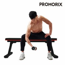 프로모릭스 몬스터 평벤치 홈트 헬스벤치, 단품