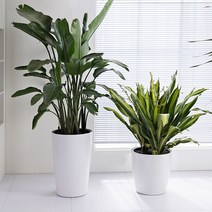 이색포트 초대형화분 플라스틱 가벼운 화분 분갈이 원형 홈가드닝 큰나무 도로용, 화이트, 숏(지름 40cm 높이40cm)