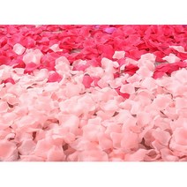 Led 빨간색 장미 이벤트소품 결혼기념일 고백 화동, 9. 밀크화이트