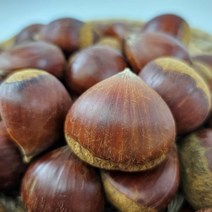 23년 국산 햇밤 생밤 1kg 2kg 3kg 5kg, 1kg(대), 1개