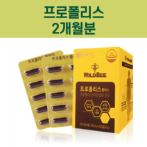 프로폴리스 포로폴리스 플로폴리스 포르폴리스 포로플리스 플로플리스 프로풀리스 플로풀리스