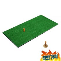 개인타석 드라이버 연습