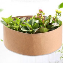 중형 텃밭 만들기 화분 베이지 원예용 미니 가벼운 저렴한 토분 꽃