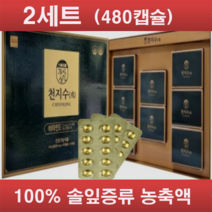 솔잎증류 농축액 천지수 (정품)1박스/2박스/5박스 100% 솔잎농축액, 2박스(480캡슐)