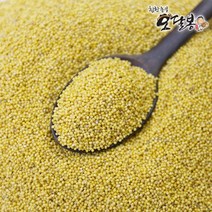 특품 2022년 국산 노랑차조 노란차조, 1개, 3kg