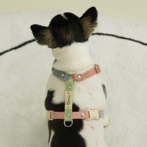 이름 무료 각인 앞섬방지 H형 강아지 밴드 하네스 가슴줄 기본형, 6. 인디블루 + 밀크그린 + 인디핑크
