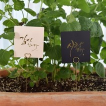 화분 데코 픽 (골드-긴 철제 카드픽) 26267ea, 장연다육 하트 대 10ea 1셋