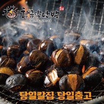 황금 약단밤 생율밤 칼집밤 포르단 공주밤 1kg, 2022 햇 포르단밤1kg