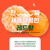 빛솔농원 제주 레드향 5kg, 1개