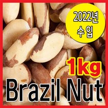 The큰나무 갓성비! 햇 브라질너트 페루산 완태 무염 견과류, 2팩, (완태) 500g