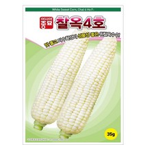 아시아종묘 옥수수씨앗 찰옥4호 (35g)