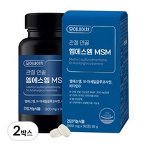 모어네이처 MSM 글루코사민 관절 연골 영양제 엠에스엠 식이유황 90정, 2박스, 81g