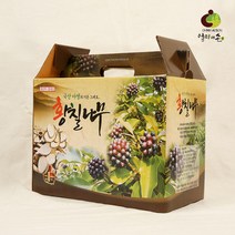 당당한건강즙 프리미엄 황칠나무즙 2개월분 100% 국산 100ml * 60포