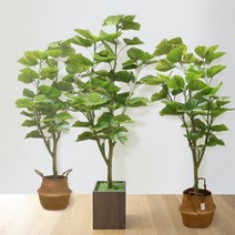 인조 리얼 휘카스 움베르타 조화나무 인테리어 화분, 1개, 움베르타 방부목화분 1.8M