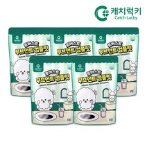 캐치럭키 로버스트 무브먼트 컴플릿 강아지 애견 관절 영양제 5팩 1.2kg, 5개, 관절 연골 케어