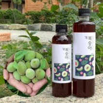 농약을 치지않고 직접 기른 개복숭아로 만든 개봉숙아 원액 효소 개복숭아청 1000ml