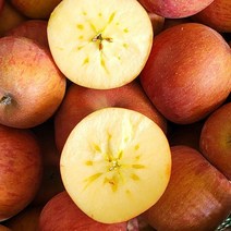 우주최강리테일 청송 사과 당도보장 꿀사과 프리미엄 선물세트 부사 정품 가정용 못난이 흠과 2kg 3kg 5kg 10kg, 청송부사 중대과 5kg