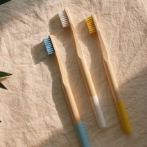 NPE 제로웨이스트 프리미엄 대나무 칫솔 5color 부드러운 미세모 생분해 밤부, 핑크