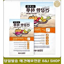 무첨가 수제 강아지살찌는사료