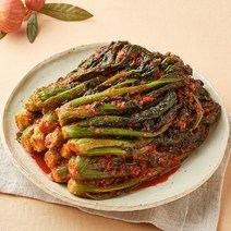 반장마켓 여수노반장 돌산갓김치 2.5kg 국내산100, 여수돌산갓김치 2.5kg