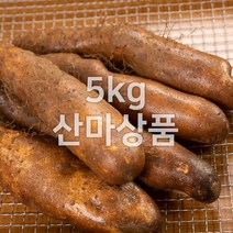 태산농장 마 안동마, 5kg (1개), 1개