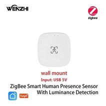 스마트 홈 ZigBee Wifi MmWave 휴먼 프레센스 모션 센서 광도/거리 감지 5/110/220V Tuya 라이프 오토메이션, Wall Mount ZigBee_CHINA