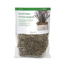 플로라크래프트 스페인 모스 4온스 (2L) 내추럴, 4 oz, 4 oz, Modern