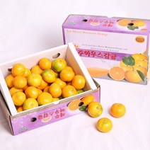 감귤단귤 제주 밀감 감귤 5kg 10kg, 1개, 5KG 특품(2S ~ L)