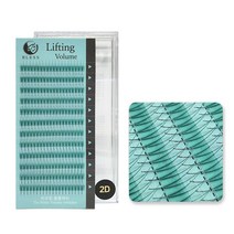 블레스 리프팅볼륨래쉬 2D(Y래쉬) 러시안볼륨래쉬 속눈썹연장재료 닭발래쉬, 1개, 컬종류-CC컬/컬굵기-0.05/컬길이-12mm