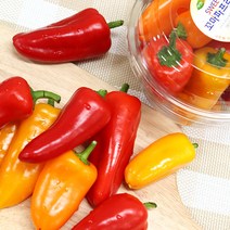 빛고을장터 국내산 꼬마파프리카 미니파프리카 1kg 2kg, 1BOX, 2kg내외 (250gx8통)