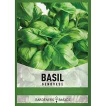 스위트 바질씨앗 허브 바실 씨 종자, 타라곤