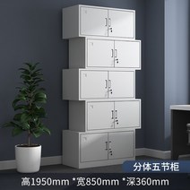 시약장 분할 문서 캐비닛 5 섹션 파일 캐비닛 플러스 파티션 파일 캐비닛 문서 금융 로커 다층 파일 데이터 캐비닛, 1.0mm, 분할 5섹션 캐비닛