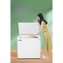 음식물 냉동고 중형 대형 가정용 뚜껑형 업소용, A