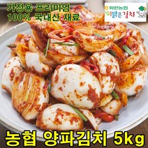 고급 국내산 양념재료 100% 전라도 해남 양파김치 3kg 양파 겉절이 농협 이맑은김치