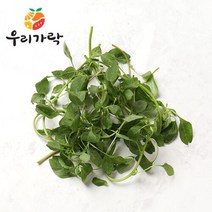 브랜드없음 [우리가락]비름나물 1kg 이내, 1